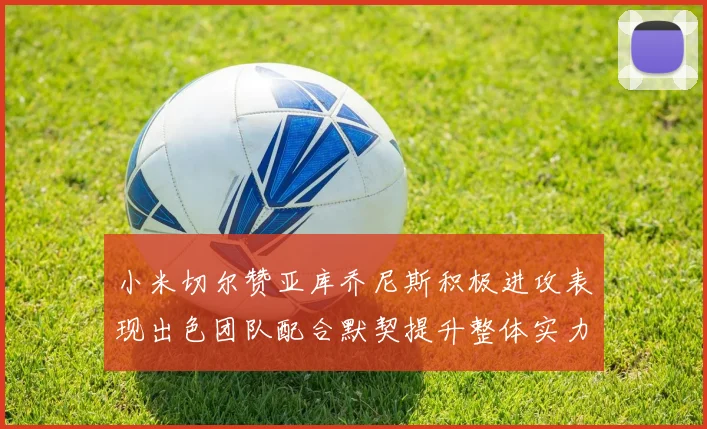 小米切尔赞亚库乔尼斯积极进攻表现出色团队配合默契提升整体实力
