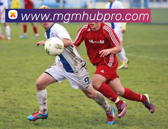 美高梅中国官网平台生态图